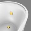 imageBath Tub Drain and Overflow Kit Tub Drain Replacement with TwoHole Overflow Faceplate and Universal FineCoarse Thread Brushed Gold