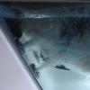 imageEmpava 59 Whirlpool Bathtub Jetted Tub with LightSPA Hydromassage with ChromatherapyAcrylic3Side ApronWhite