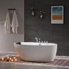 image59 in Acrylic Freestanding Bath Tub Hydromassage Gracefully Oval Shaped 7 Water Jets Soaking SPA DoubleEnded Massage Bathtubs with Black Pillow  White