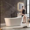 imageEmpava Update Acrylic Whirlpool Bathtub 67Inch Freestanding Gracefully Oval Shaped Jetted Bathtub with Healing Chromotherapy 16 Hydromassage Jets SingleEnded Bathtubs with Pillow No faucet